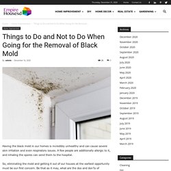 Things to Do and Not to Do When Going for the Removal of Black Mold - empire housesd