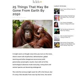 Things That May Be Gone From Earth By 2050 - The Delite