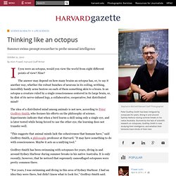 Thinking like an octopus
