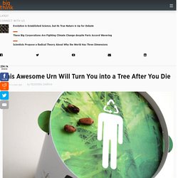 This Awesome Urn Will Turn You into a Tree After You Die