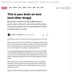 This is your brain on love (and other drugs)