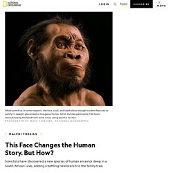 This Face Changes the Human Story. But How?
