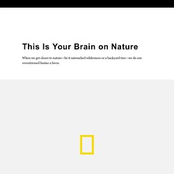 This Is Your Brain on Nature