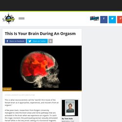 This Is Your Brain On Orgasms