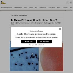 Is This a Picture of Hitachi 'Smart Dust'?