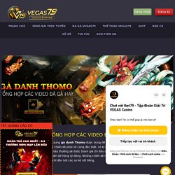 GÀ DANH THOMO - TỔNG HỢP CÁC VIDEO ĐÁ GÀ HAY - Vegas79 Casino