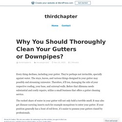 Why You Should Thoroughly Clean Your Gutters or Downpipes? – thirdchapter