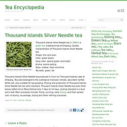 Thousand Islands Silver Needle tea