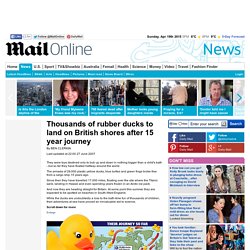 Thousands of rubber ducks to land on British shores after 15 year journey