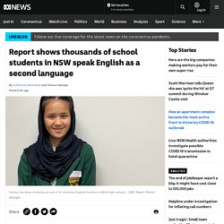 Report shows thousands of school students in NSW speak English as a second language