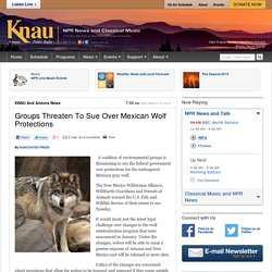 Groups Threaten To Sue Over Mexican Wolf Protections