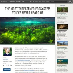 The most threatened ecosystem you’ve never heard of