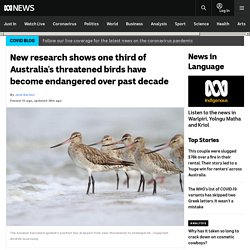New research shows one third of Australia's threatened birds have become endangered over past decade
