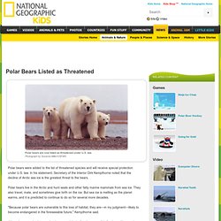 Polar Bears Listed as Threatened