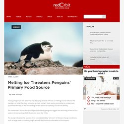 Melting Ice Threatens Penguins' Primary Food Source - Redorbit