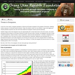 Threats to Orangutans