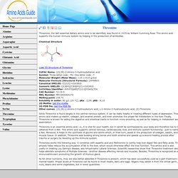 Threonine - Cas 72-19-5 - essential amino acid