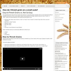 How do I thresh grain on a small scale? « Island Grains