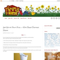 *The Thrifty Home: Get Rid of Fruit Flies - 97th Penny Pinching Party