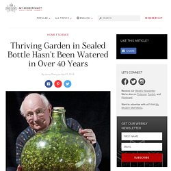 Thriving Garden in Sealed Bottle Hasn't Been Watered in Over 40 Years