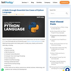 A Walk through Essential Use Cases of Python Language