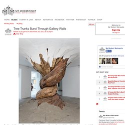 Tree Trunks Burst Through Gallery Walls