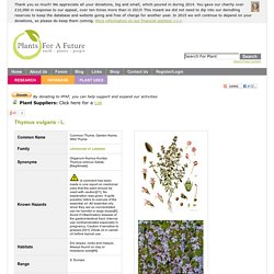 Thymus vulgaris Common Thyme, Garden thyme, Wild Thyme PFAF Plant Database