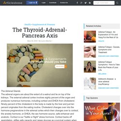 The Thyroid-Adrenal-Pancreas Axis