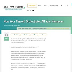 How Your Thyroid Orchestrates All Your Hormones