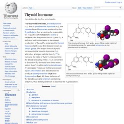 Thyroid hormone