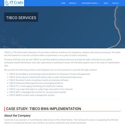 TIBCO Services - IT Crats