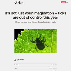 7 juin 2021 Ticks are out of control this year — it's not just your imagination