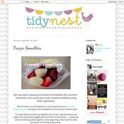 The Tidy Nest: Freezer Smoothies