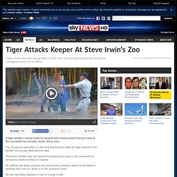 Tiger Attacks Keeper At Steve Irwin's Zoo
