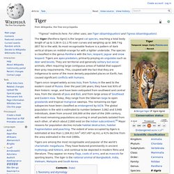 Tiger Wiki