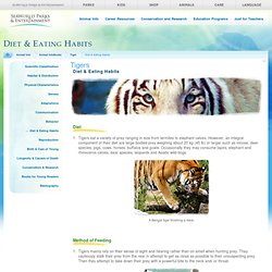 Wild Life contains 3 pealrtrees and 14 sub pearls | Pearltrees