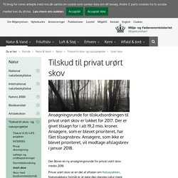 Tilskud til privat urørt skov