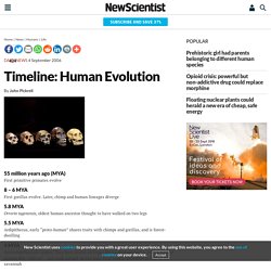 Timeline: Human Evolution