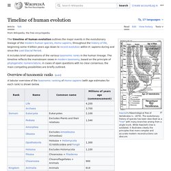 Timeline of human evolution