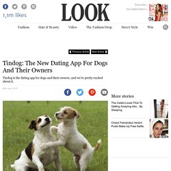 Tindog: The New Dating App For Dogs And Their Owners