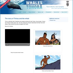 The story of Tinirau and the whale - Whales Tohorā - Museum of New Zealand Te Papa TongarewaThe story of Tinirau and the whale