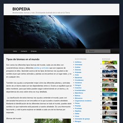 Tipos de biomas en el mundo