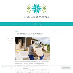 TIPS TO MOVE AN AQUARIUM – NYC Great Movers