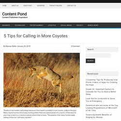 5 Tips for Calling in More Coyotes