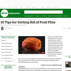 10 Tips for Getting Rid of Fruit Flies