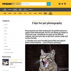 5 tips for pet photography - PetSpot