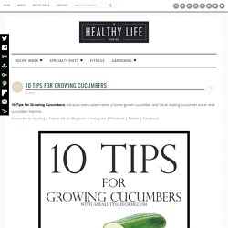 10 Tips for Growing Cucumbers - A Healthy Life For Me
