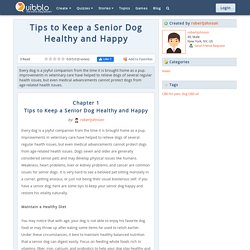 Tips to Keep a Senior Dog Healthy and Happy