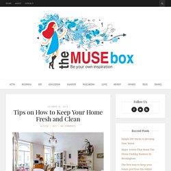 Tips on How to Keep Your Home Fresh and Clean - The Muse Box