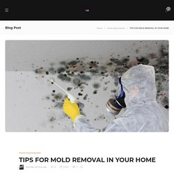 TIPS FOR MOLD REMOVAL IN YOUR HOME